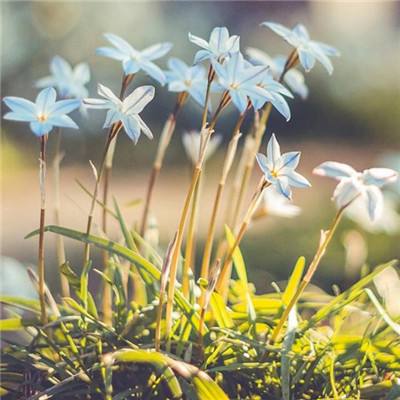 皇冠体育app正版下载截图