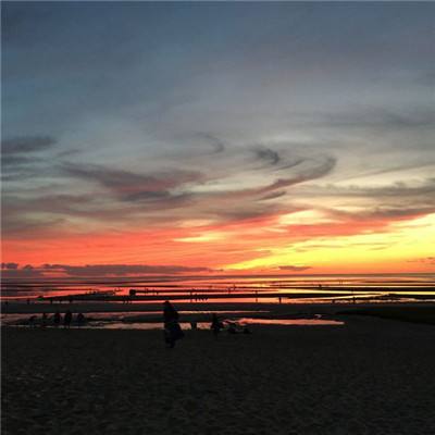 竞彩足球app官方手机app下载