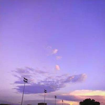 博鱼·体育中国入口下载手机版