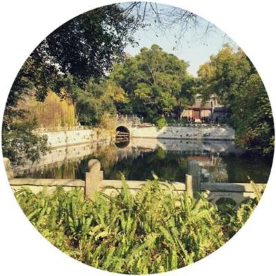 NG体育APP官方下载网址