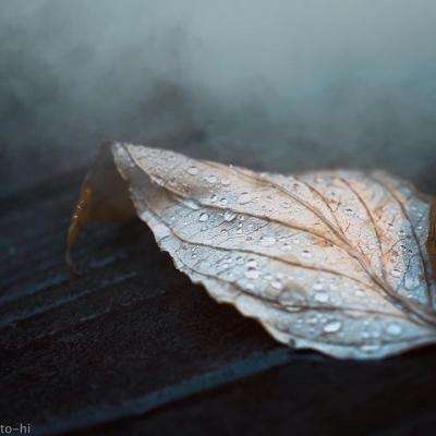 998娱乐彩票安卓APP