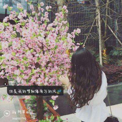 亚博足球外围软件